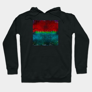 Colorz Hoodie